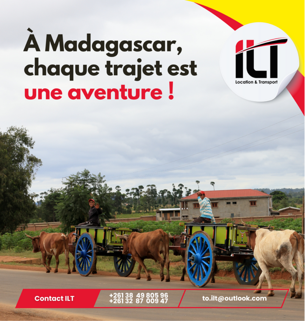 Création 2 - Description rapide